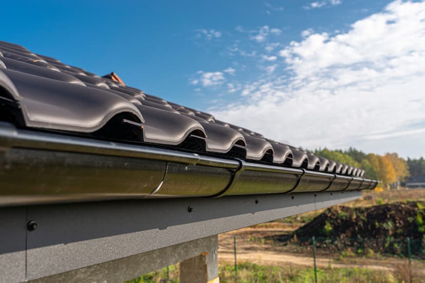 Gutter Cleaning — example 1